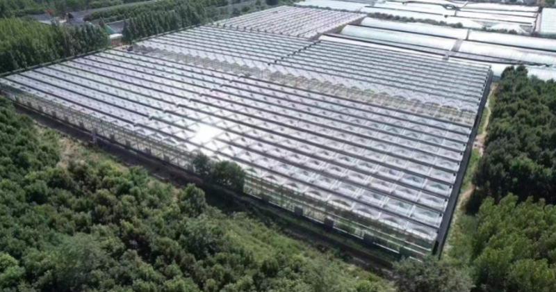 冠县零售市场：传统与创新的碰撞